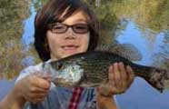 NC Crappie