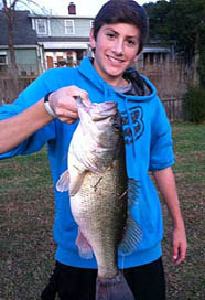 Big NC Bass