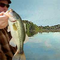 Buckhorn Lake