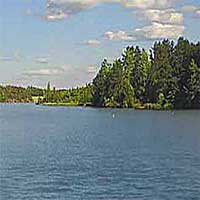 Harris Lake Reports