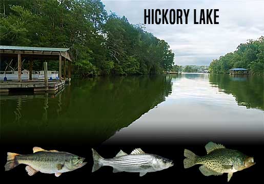 Fishing Hickory Lake