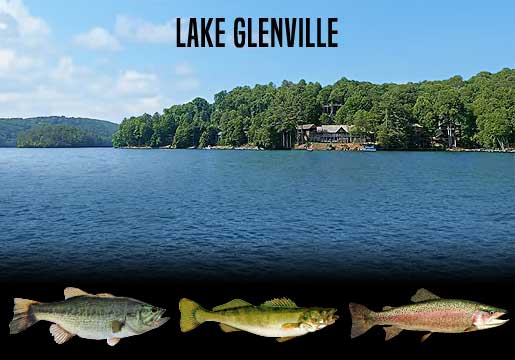 Fishing Report Lake Glenville, NC