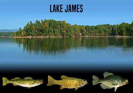 Fishing Report Lake James, NC