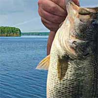 Jordan Lake Reports