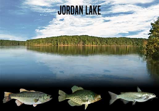 Fishing Report ordan Lake, NC