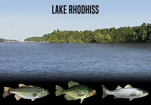 Fishing Report Lake Rhodhiss, NC