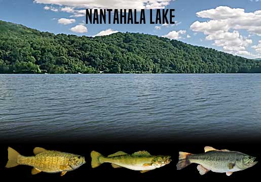 Fishing Report Nantahala Lake, NC