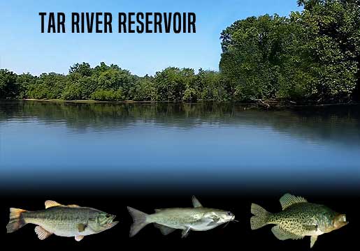 Fishing Report Tar River Reservoir, NC