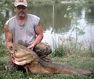 Mosnter Flathead Catfish