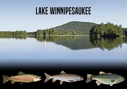Fishing Report Lake Winnipesaukee, NH