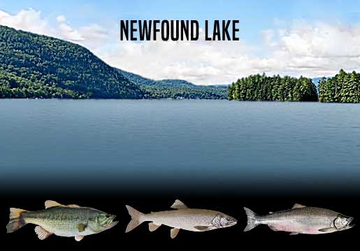 Fishing Report Newfound Lake, NH