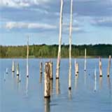 Manasquan Reservoir, New Jersey