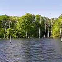 Manasquan Reservoir Reports