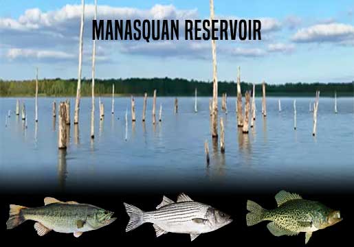 Fishing Report Manasquan Reservoir, NJ
