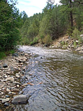 Pecos River is a popular New Mexico trout stream