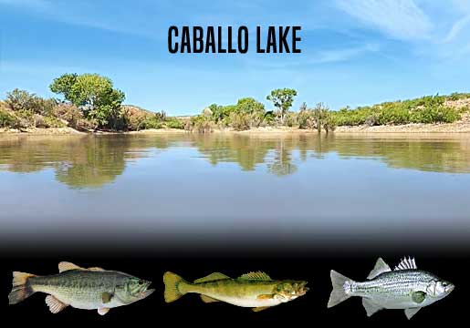 Fishing Report Caballo Lake, NM