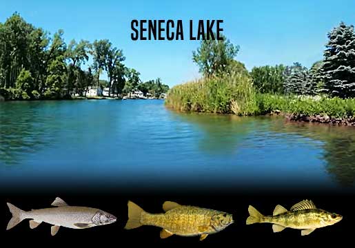 Fishing Report Seneca Lake, NY