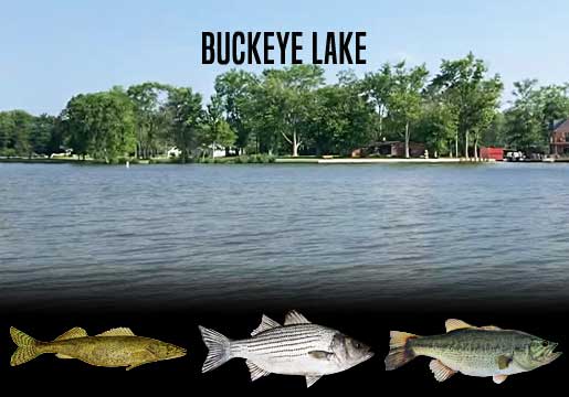 Fishing Report Buckeye Lake, OH