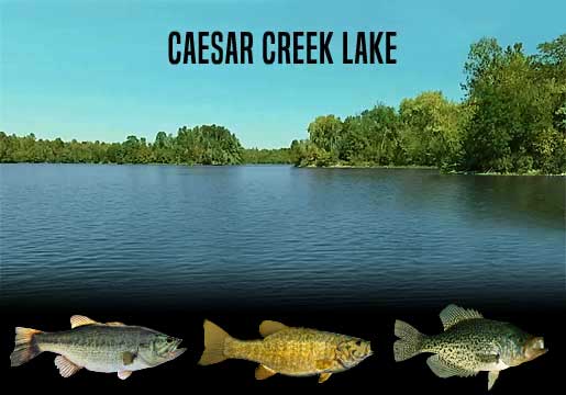 Fishing Report Caesar Creek Lake, OH