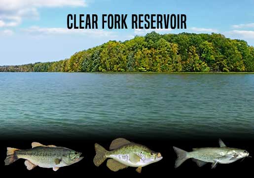 Fishing Report Clear Fork Reservoir, OH