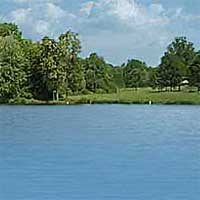 Lake Milton Reports