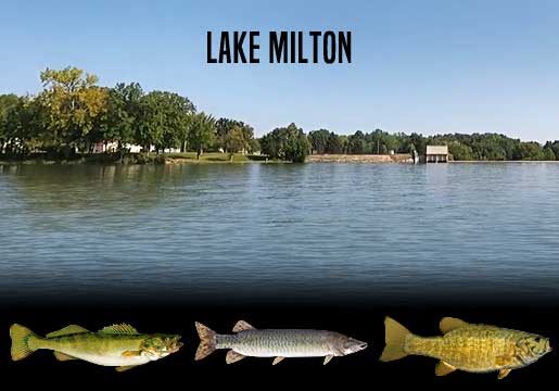 Fishing Report Lake Milton, OH