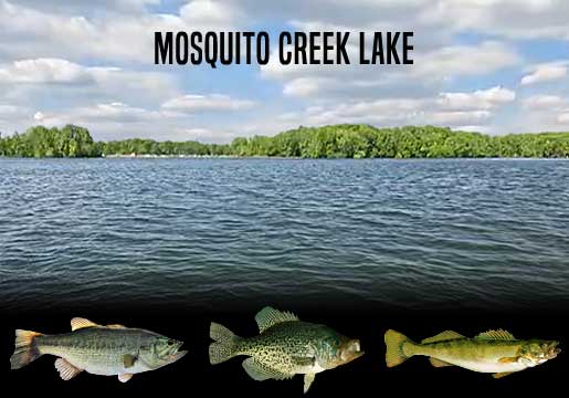 Fishing Report Mosquito Lake, OH
