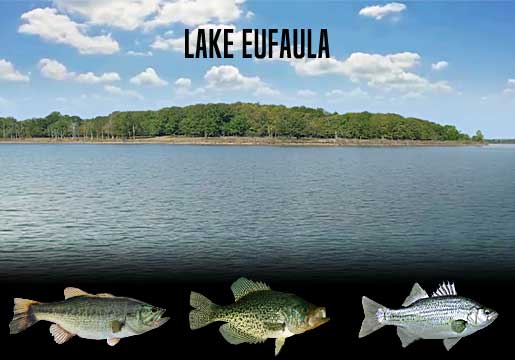 Fishing Report Lake Eufaula, OK