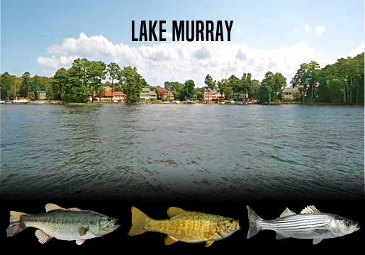 Fishing Report Lake Murray, OK