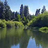Upper Klamath Lake Reports