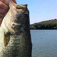 Cross Creek Lake Reports