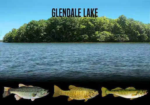 Fishing Report Glendale Lake, PA