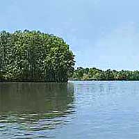 Lake Arthur Reports