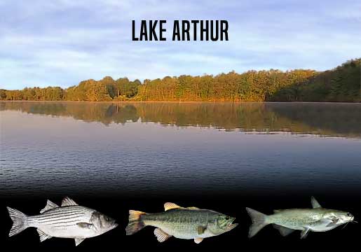 Fishing Report Lake Arthur, PA