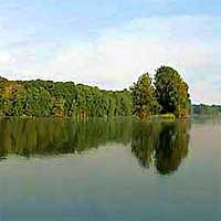 Lake Wilhelm Reports