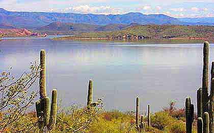 Roosevelt Lake