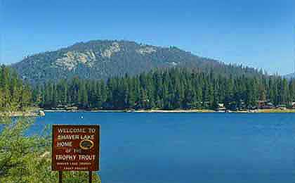 Shaver Lake