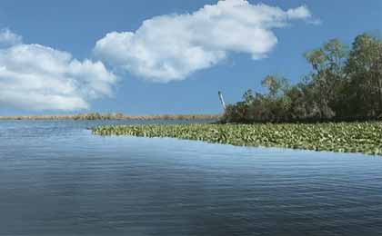 Florida Map - Fishing Lakes & Locations in FL