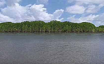 Lake Bistineau, LA