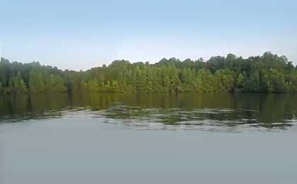 Lake Mackintosh, NC
