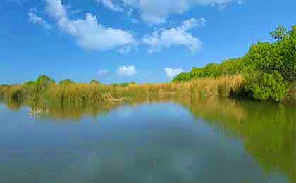 Lake Nasworthy, TX