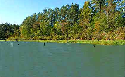 Toledo Bend Reservoir, TX