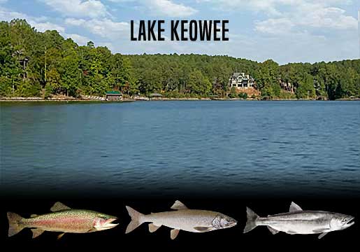 Fishing Report Lake Keowee, SC