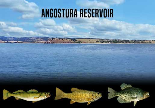 Fishing Report Angostura Reservoir, SD