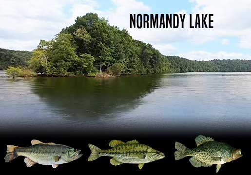Fishing Report Normandy Lake, TN