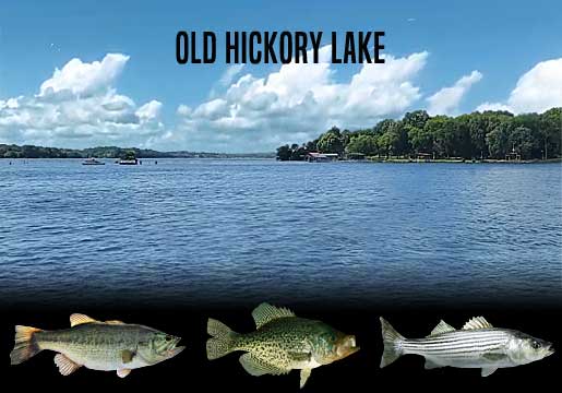 Fishing Report Old Hickory Lake, TN