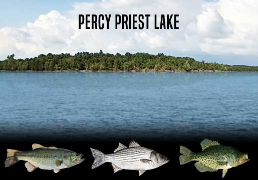 Fishing Report Percy Priest Lake, TN
