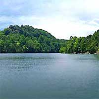 Tims Ford Lake Reports