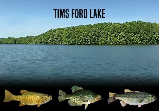 Fishing Report Tims Ford Lake, TN