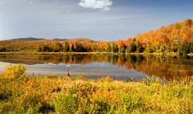A Typical Vermont Lake In Fall.